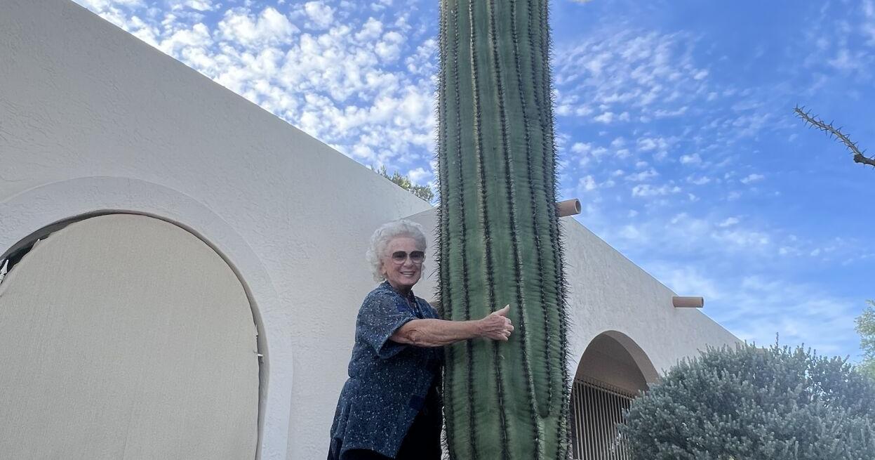 At Attention! A cactus she had for over 50 years delivered a message just when she needed it - Vimarsana News
