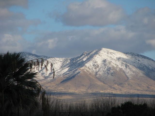 Snow on the mountain, 2010