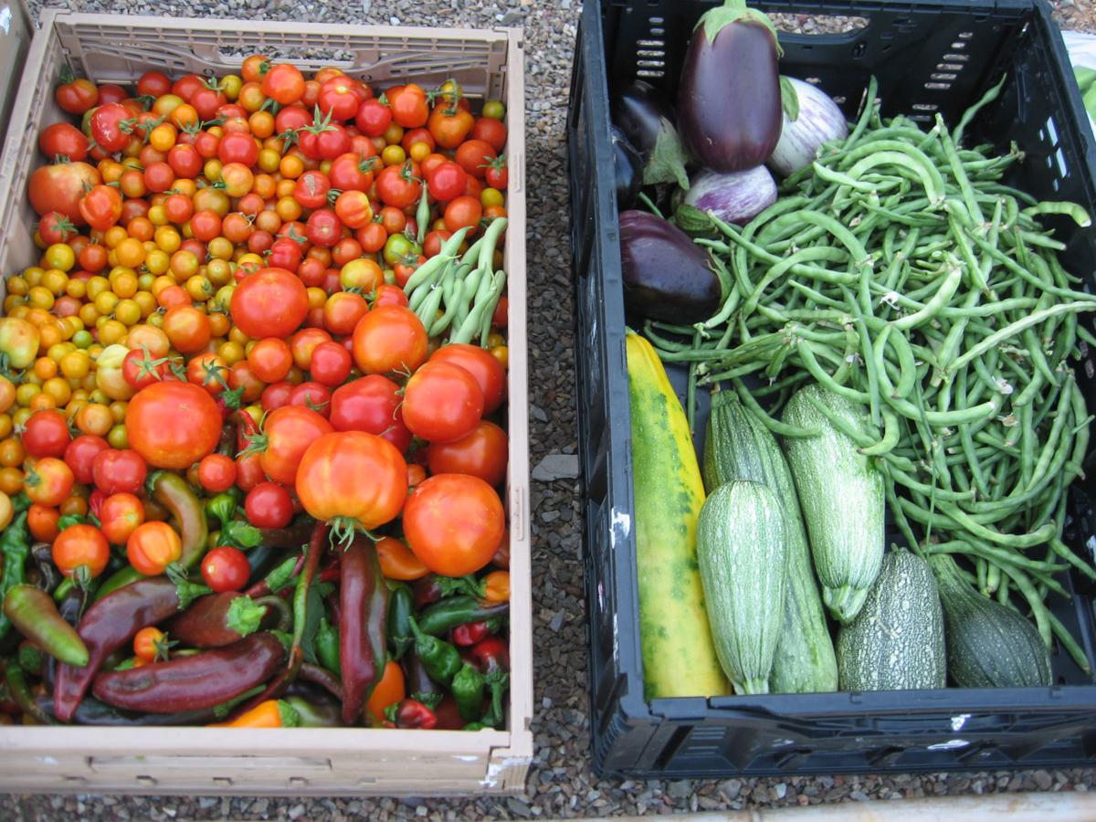 GV Gardeners Sharing fresh, healthy garden foods Get Out