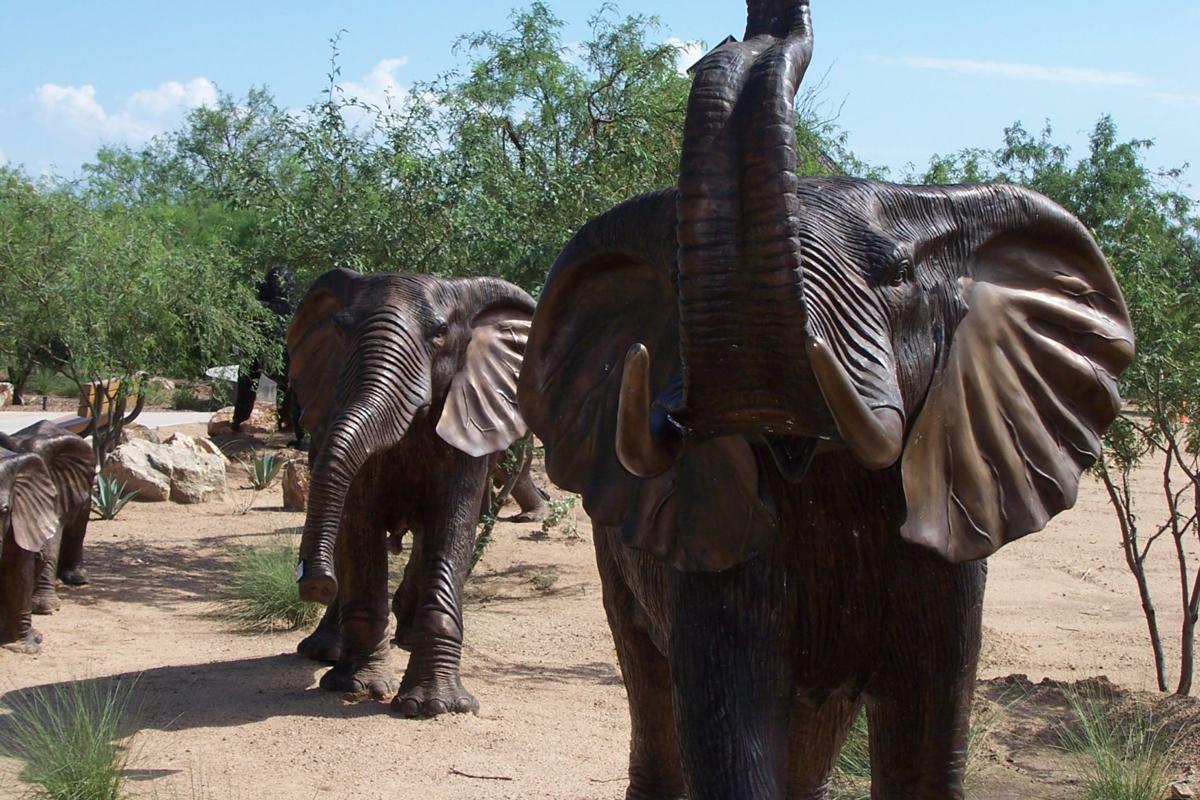 Safari Park