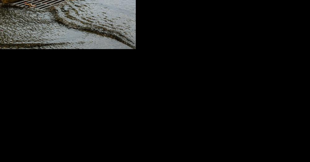 Rosie on the House: Ways to manage stormwater on your property - Vimarsana News