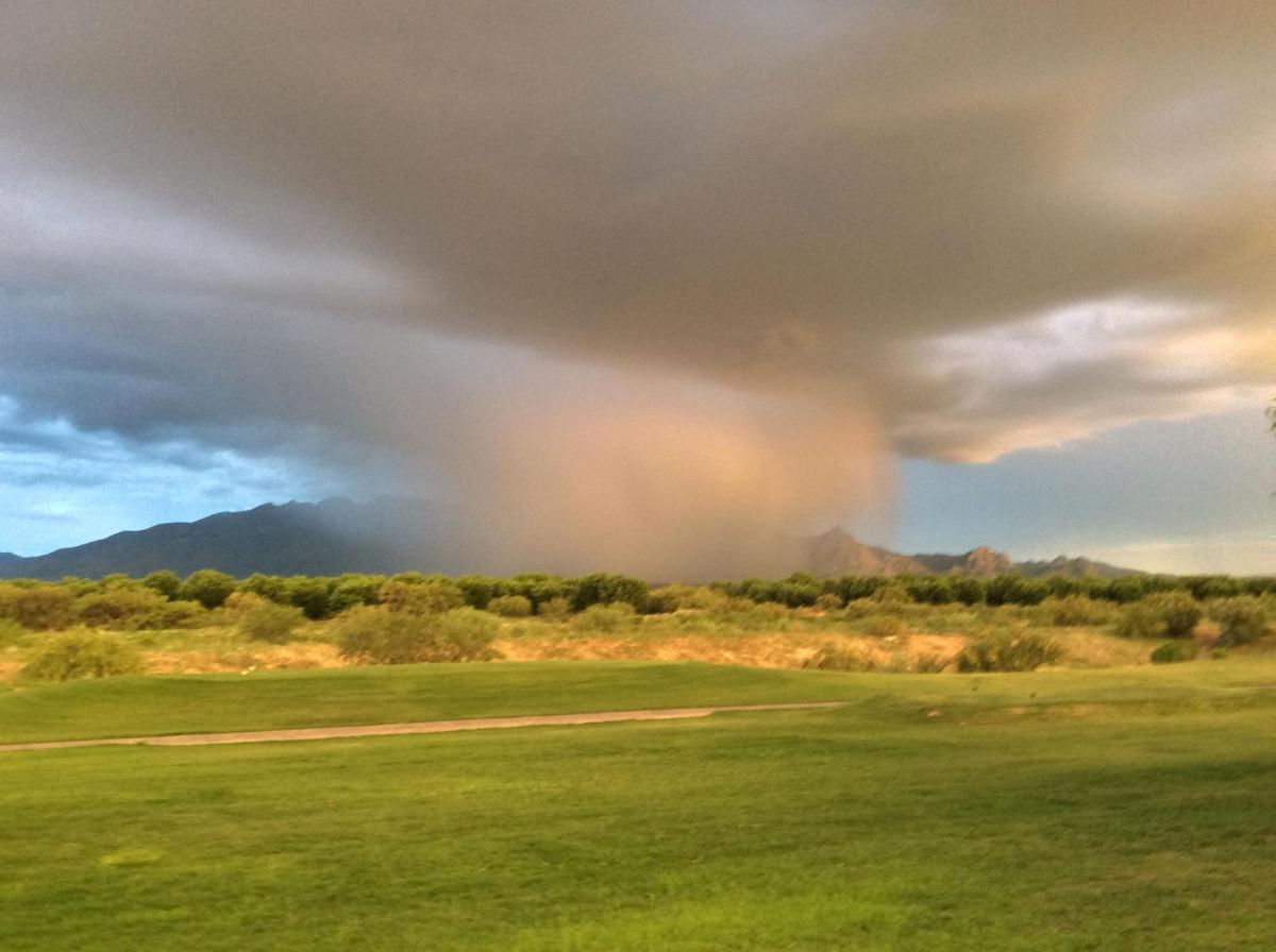 Monsoon on the Santa Ritas