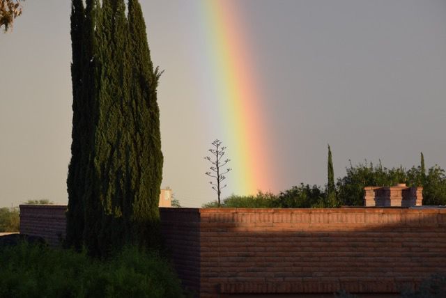 Rainbow in the backyard