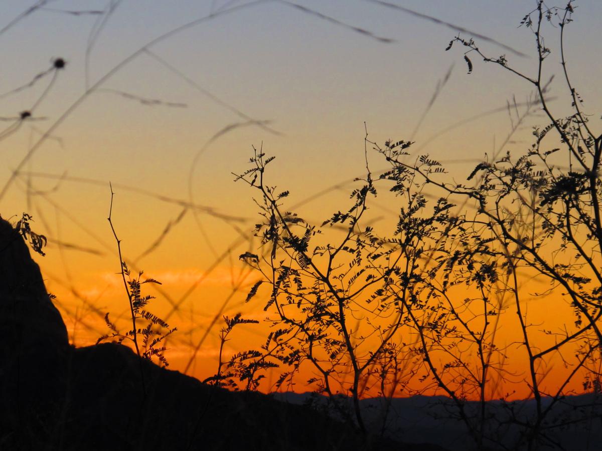 Sunset from Madera Canyon