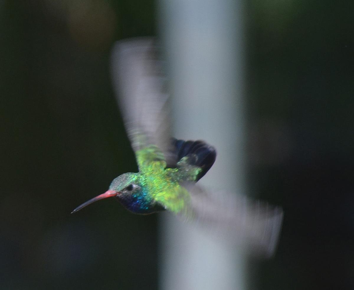 In flight