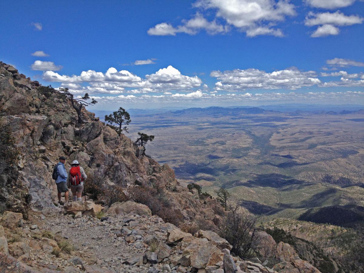 Old Baldy Trail on Mount Wrightson