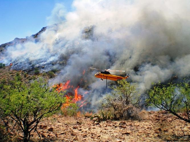 Arizona Wildfires 2011 | Gallery | gvnews.com