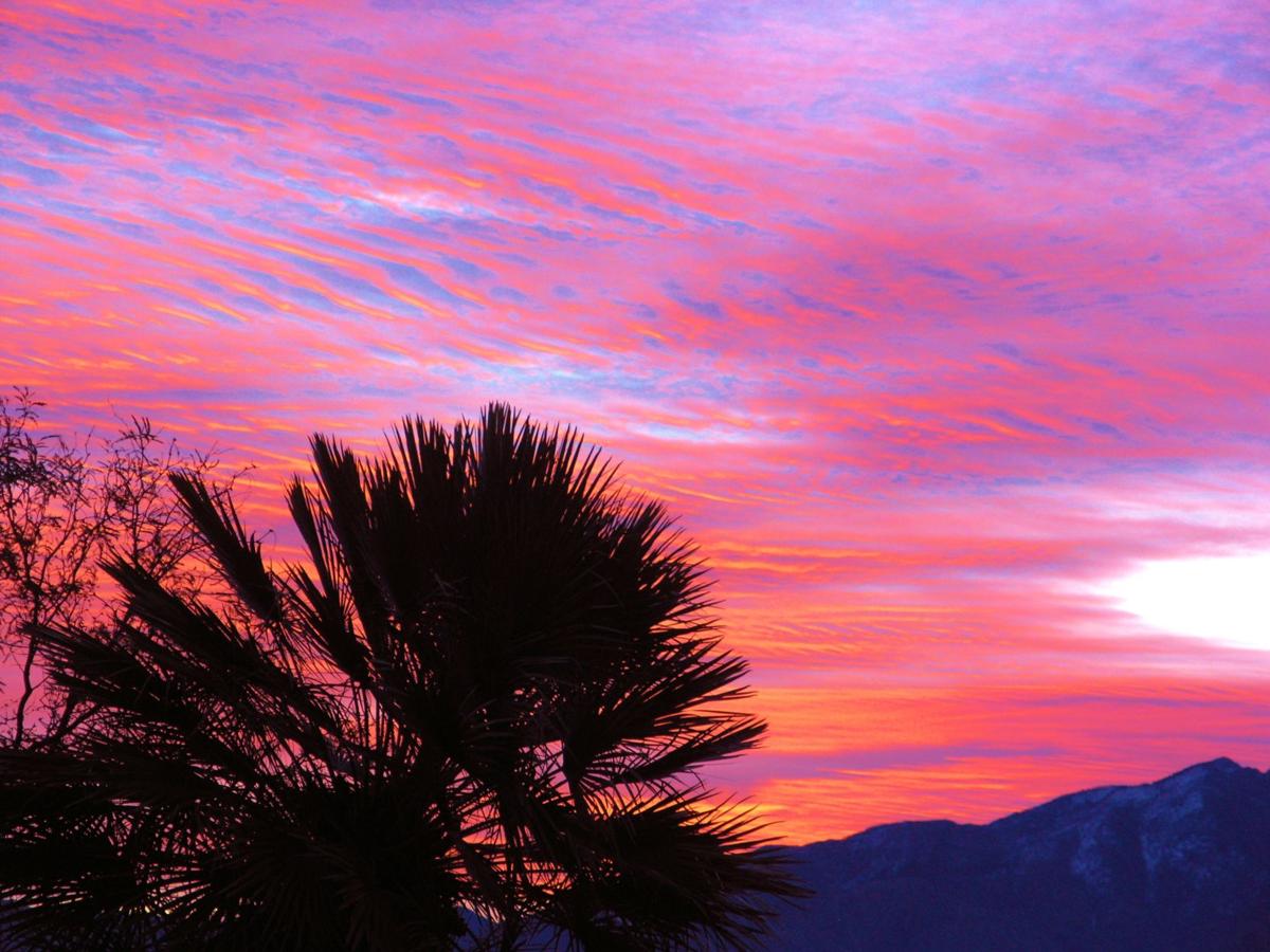 Pink sunrise