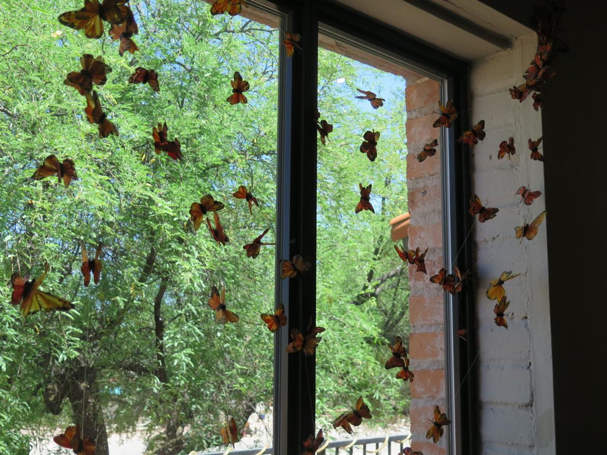 Monarch butterfly exhibit lands at TCA Get Out