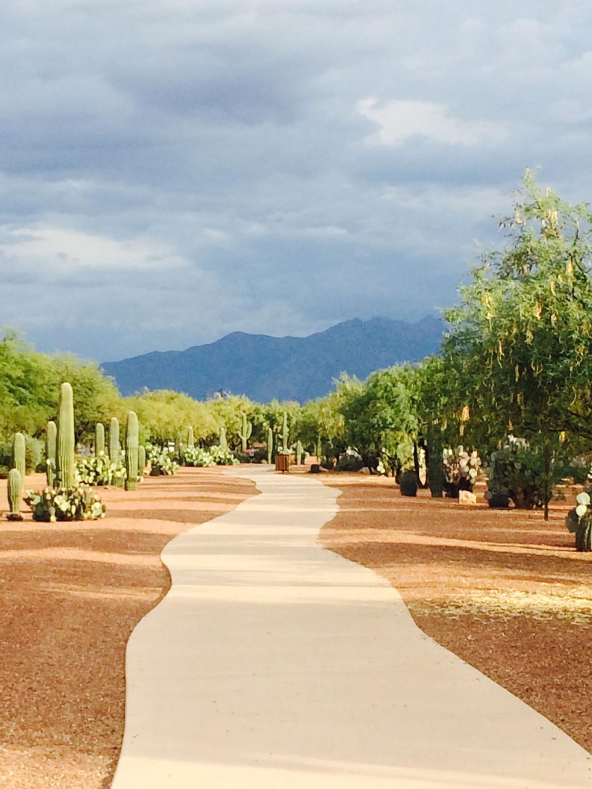 Rancho Sahuarita Trail