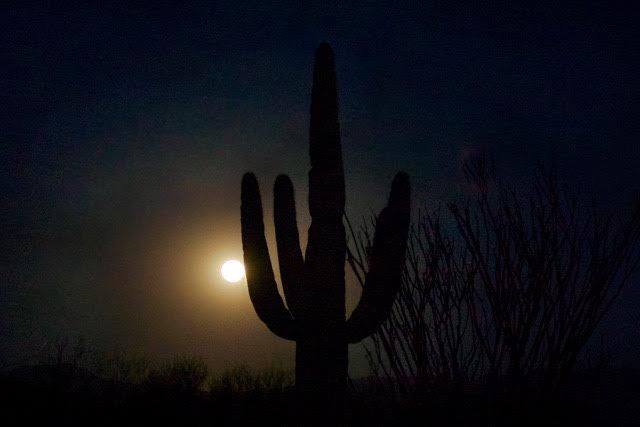 Full moon over Continental Vistas