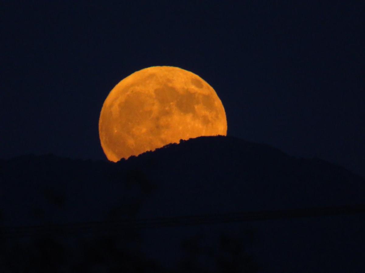 Moon over the Santa Ritas