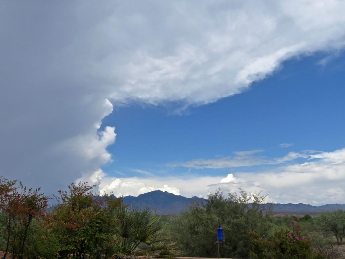 Coming monsoon