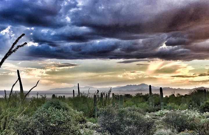 Summer storm