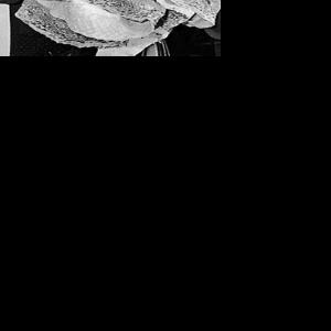 Loved ones remember Billy Graham’s wife Ruth Local News Stories