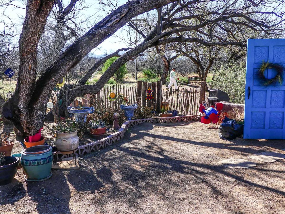 Desert Meadows A Playful Park Get Out Gvnews Com