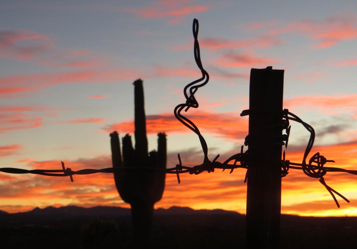 Barb wire sunset