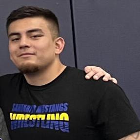 SHS girls wrestling coach on leave following arrest - Vimarsana News