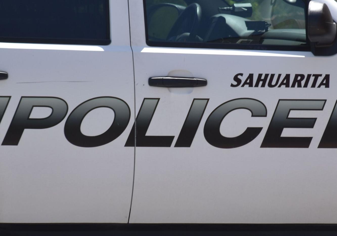 Sahuarita police log Local News Stories