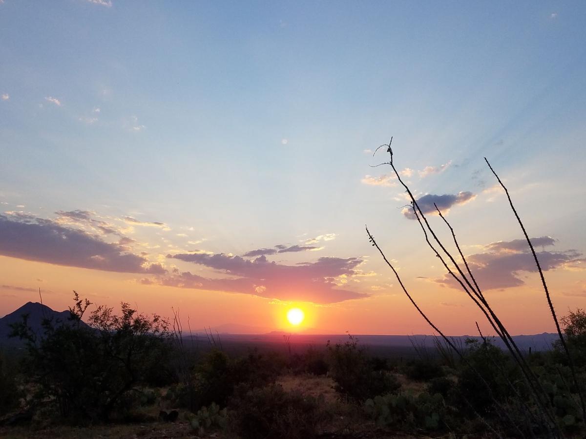 Desert sunset