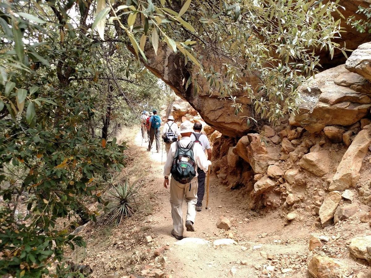 Great Hikes Madera Canyon Trail Get Out 7382