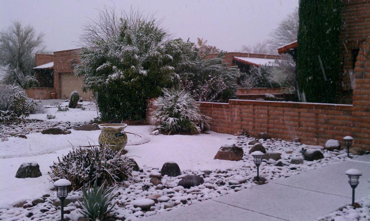 Winter in Green Valley