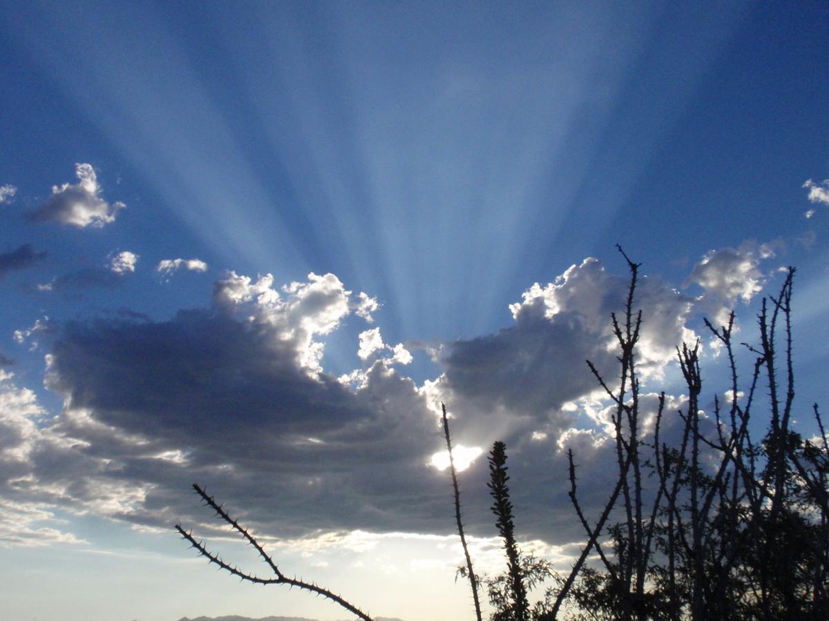Sunbeams