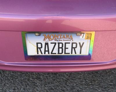 Random facts about Colorado license plates