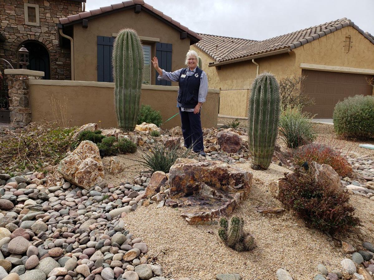 Nature Can Thrive In Your Yard Sustainable Landscaping In Sonoran