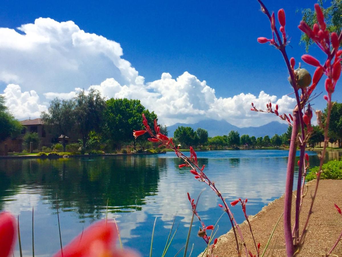 Lakeside