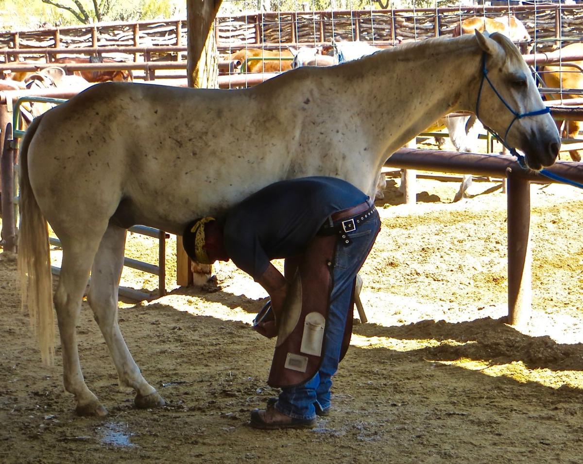 New shoes at Tanque Verde Ranch