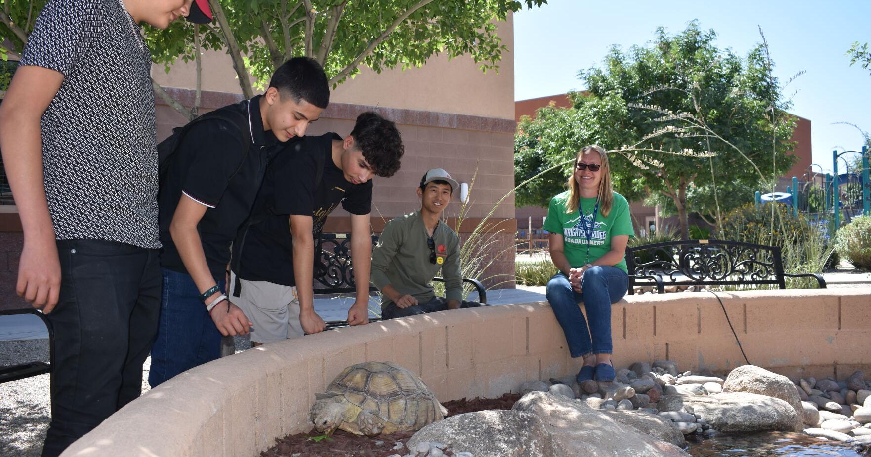 Bathing beauties: Community comes through for Wrightson Ridge tortoises - Vimarsana News