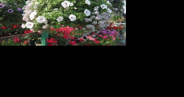 Green Valley Gardeners: It's a good garden planning month - Vimarsana News