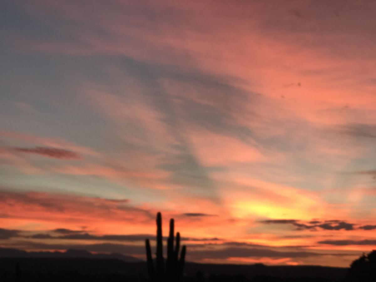 Desert Sunset