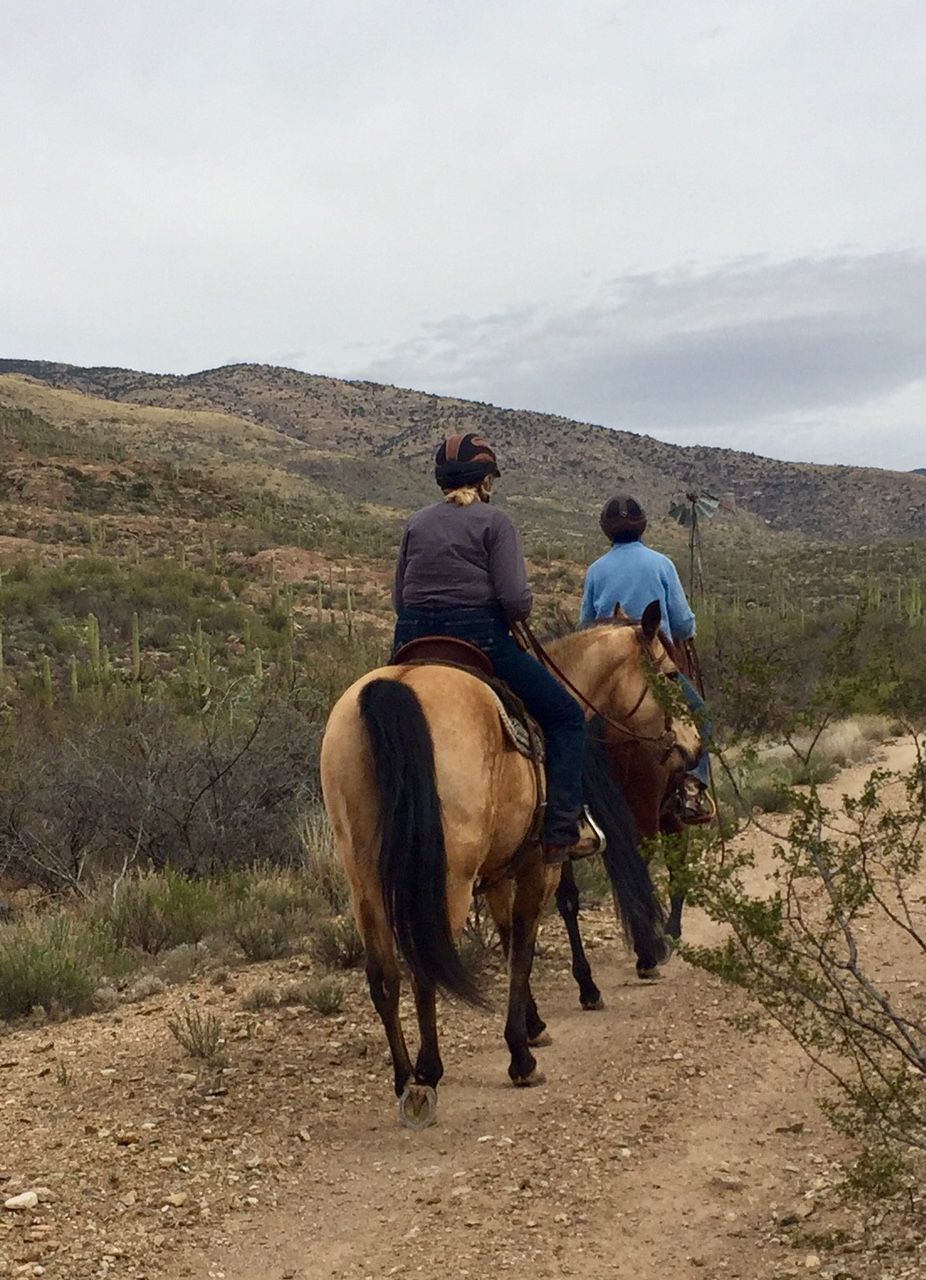 Horseback in Saguaro National Park