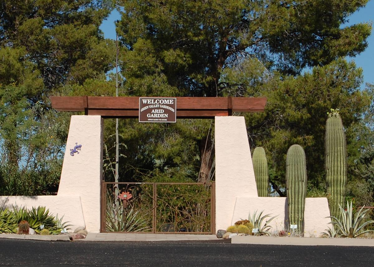 Arid Garden