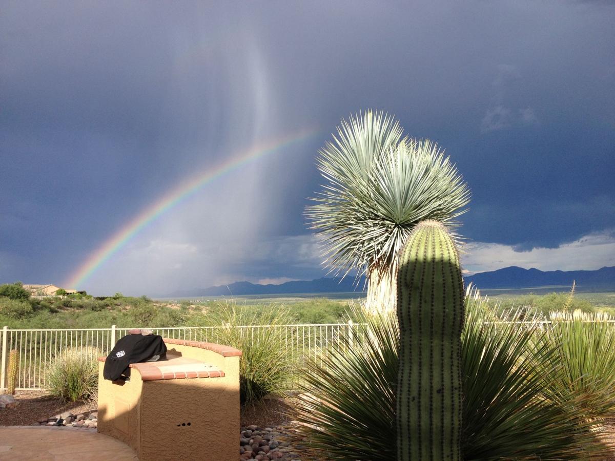 Backyard rainbow