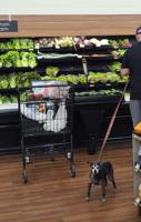 Clean-up on aisle 6: Owner poo-pooed online after dog relieves itself in store