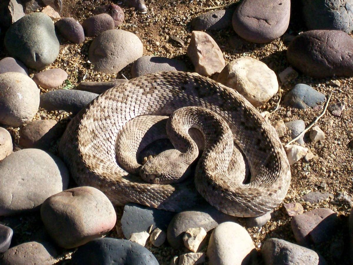 On the ground