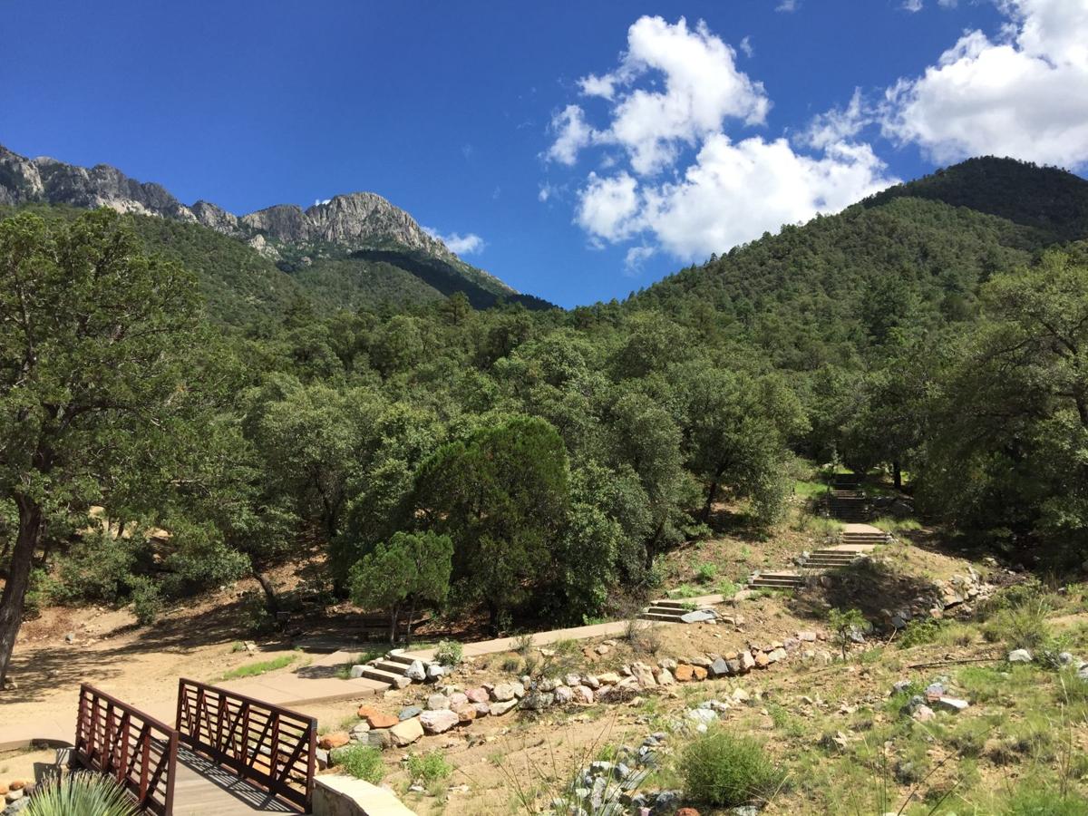 View of Mt. Wrightson