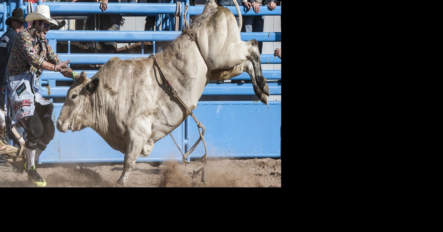 Tucson Rodeo, Parade roll into town | Get Out | gvnews.com