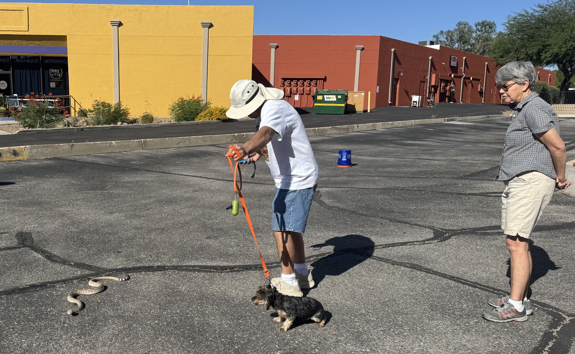 Snake avoidance training keeps dogs safe | Local News | gvnews.com