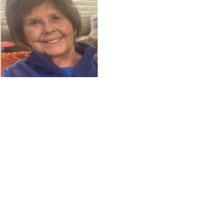 UPDATE: FBI assisting with interviews, tech support in Guthrie ...