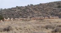 Travels with Two Sisters: Geronimo slept here!