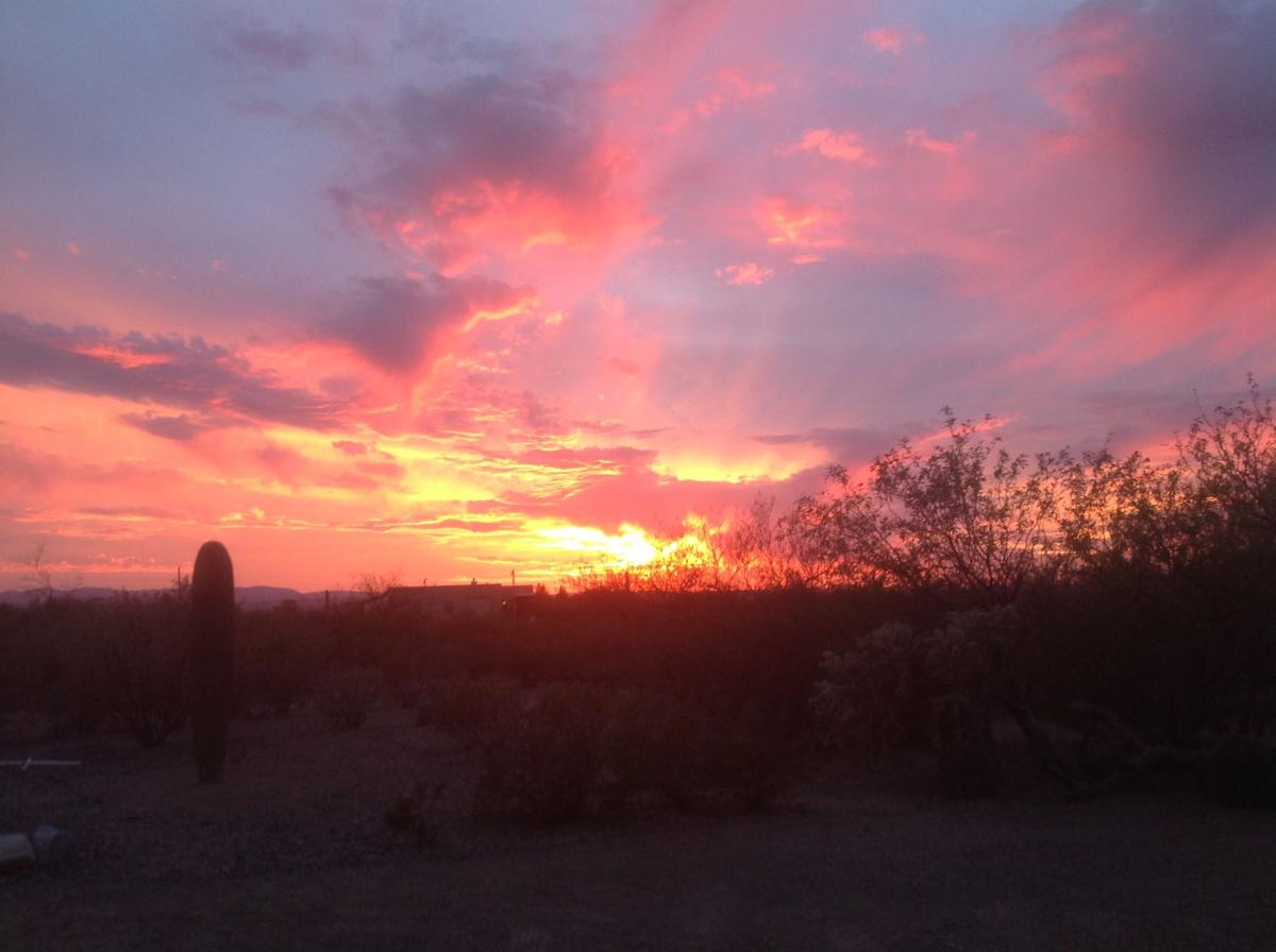 Sunset on the desert