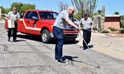 It S Snake Season And It S A Busy One Local News Stories