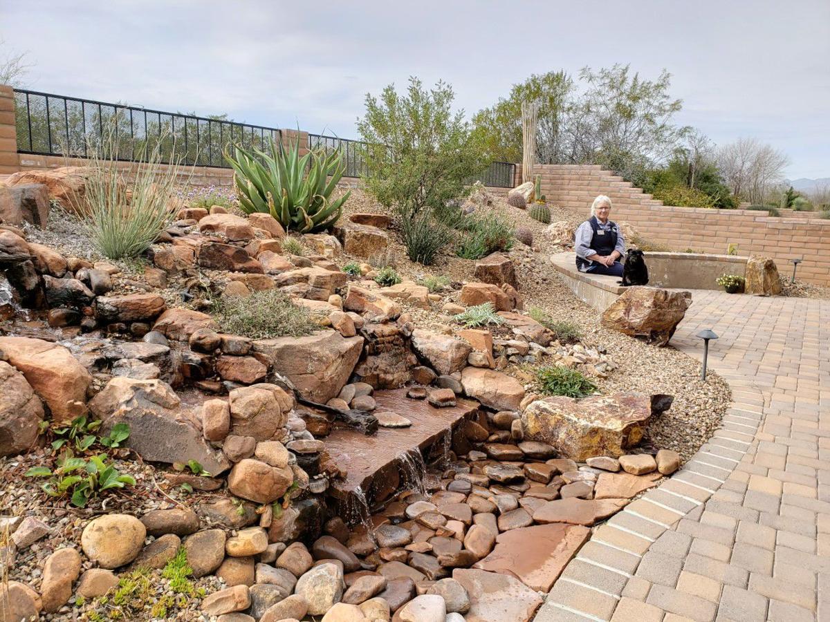 Nature Can Thrive In Your Yard Sustainable Landscaping In Sonoran