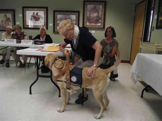 A & F ルナチェアー スタンド Modern Outdoor Garden - Sitting