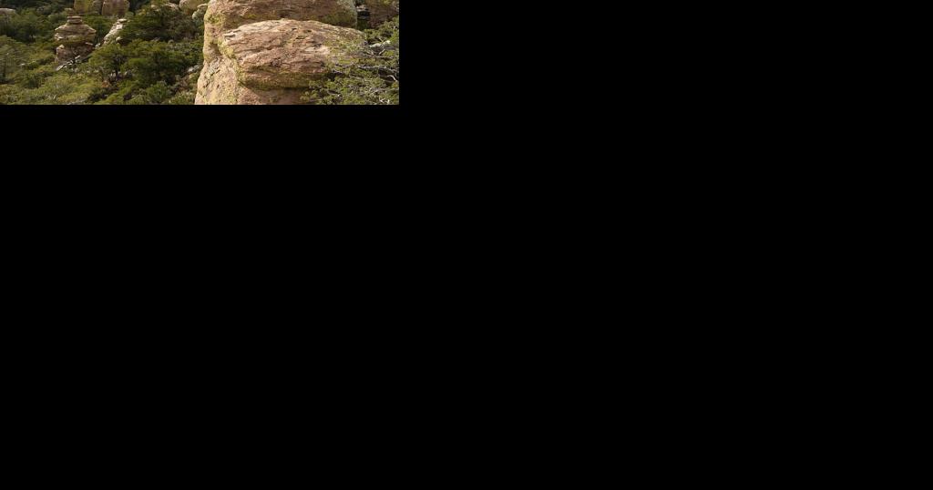 Meandering the Mesquite: Mountains I have known: Violence in the Chiricahuas - Vimarsana News