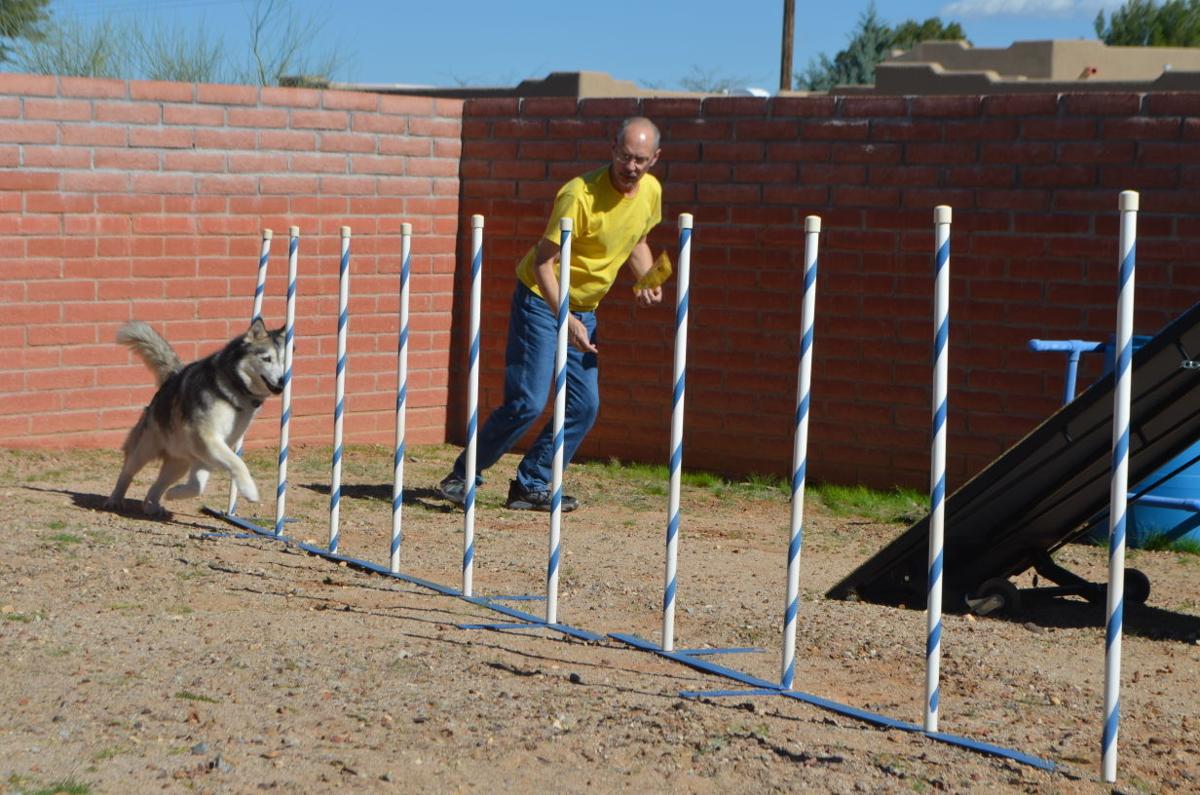 Gv Dog Lovers Judge Compete Worldwide Local News Stories